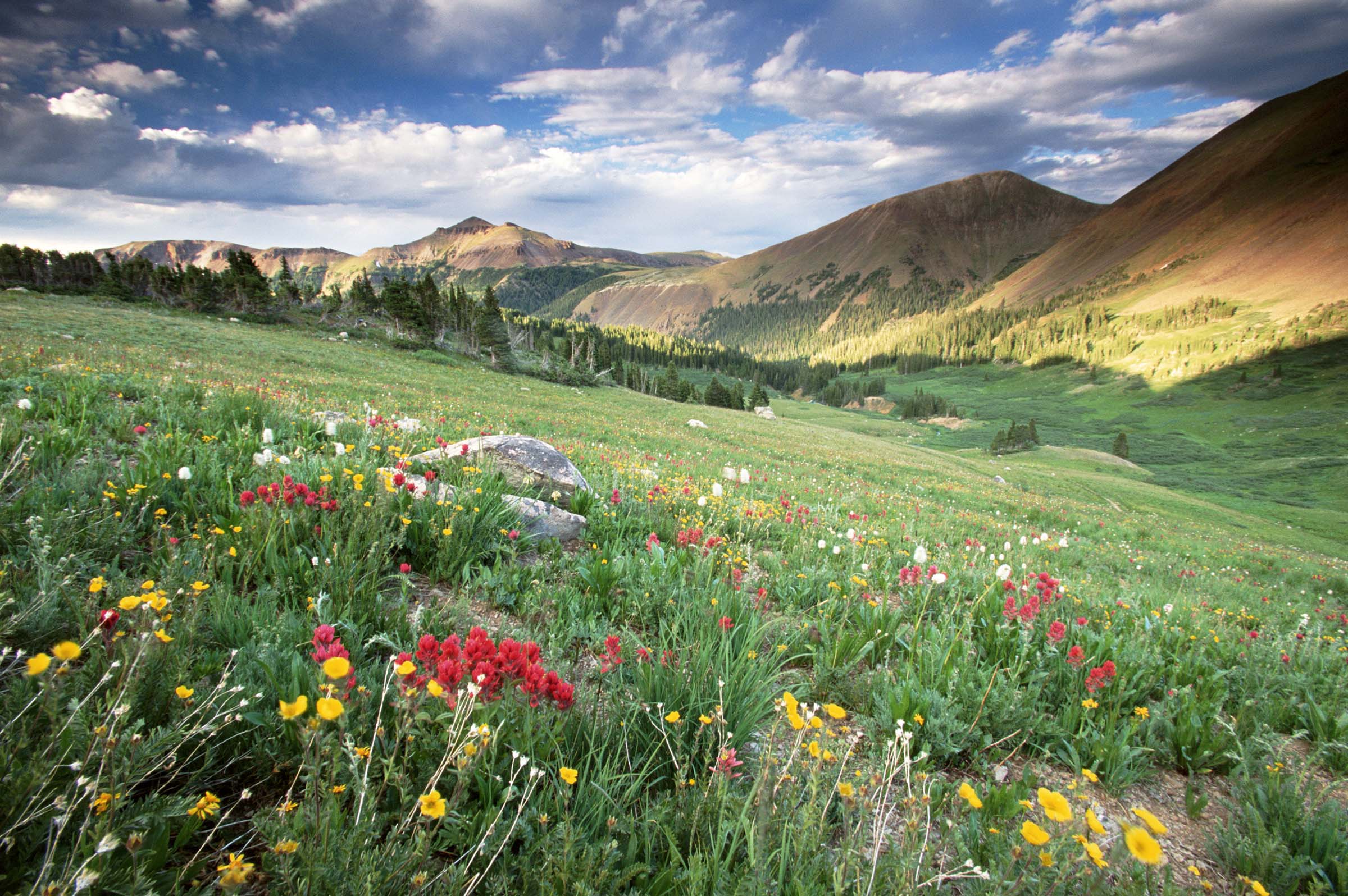State Forest State Park