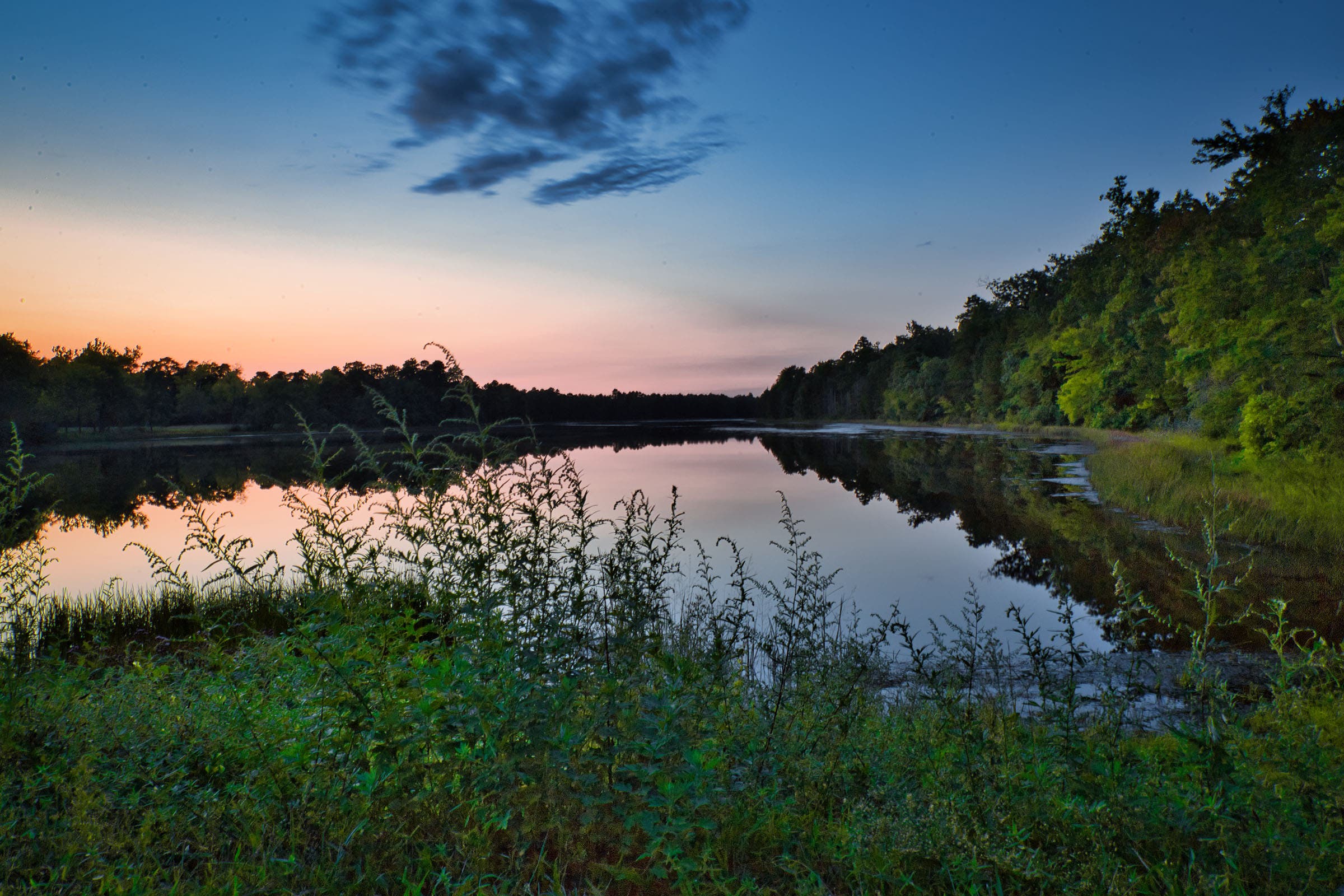 Wharton State Forest Pond