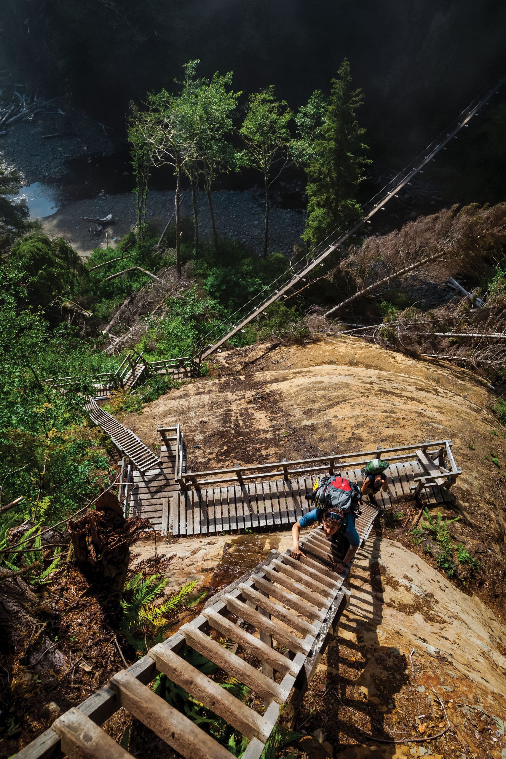 Hikers climbing ladders
