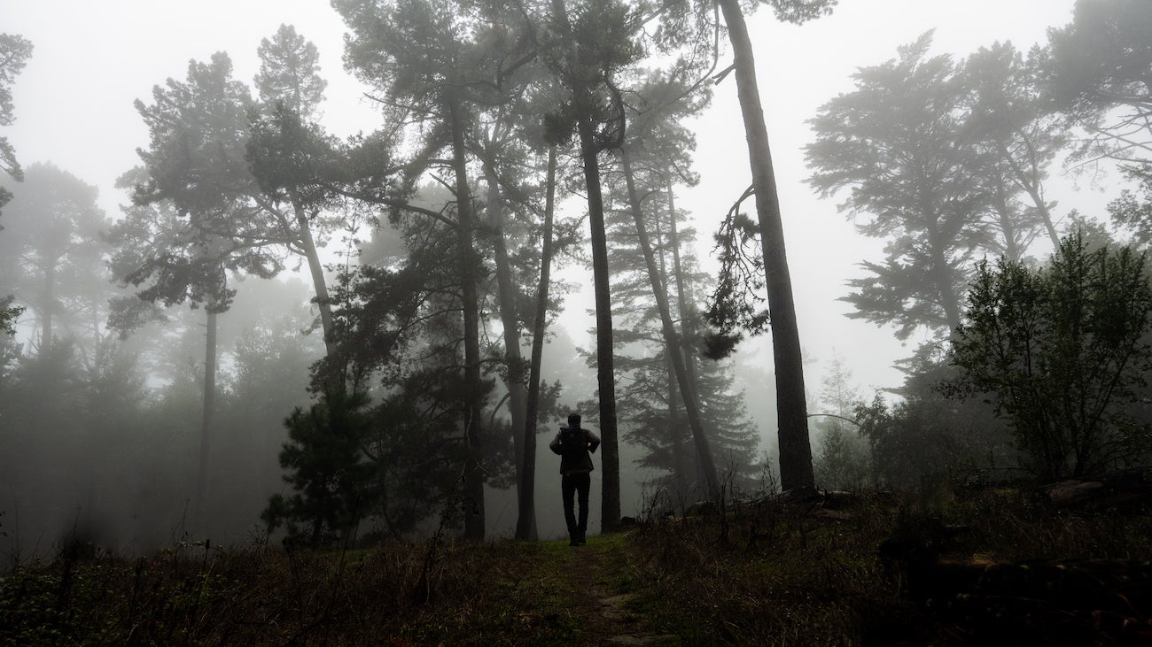 Silhouette of figure between forest of trees on foggy California trail