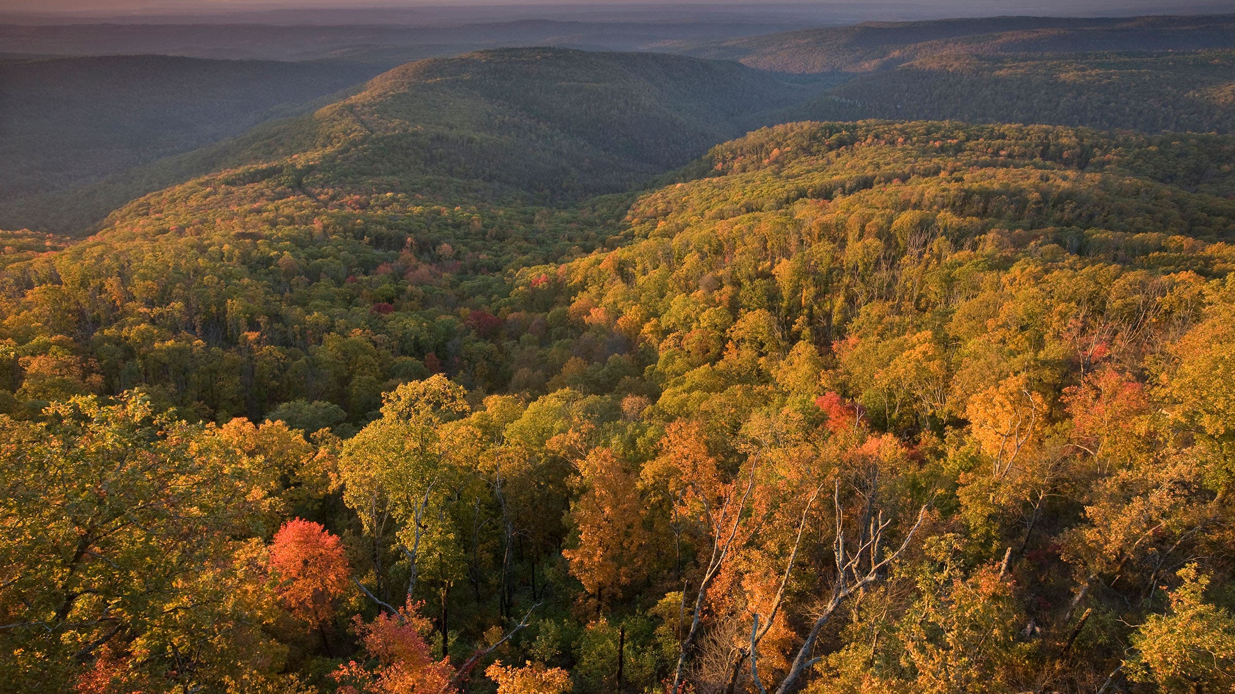 Ozark Highlands Trail