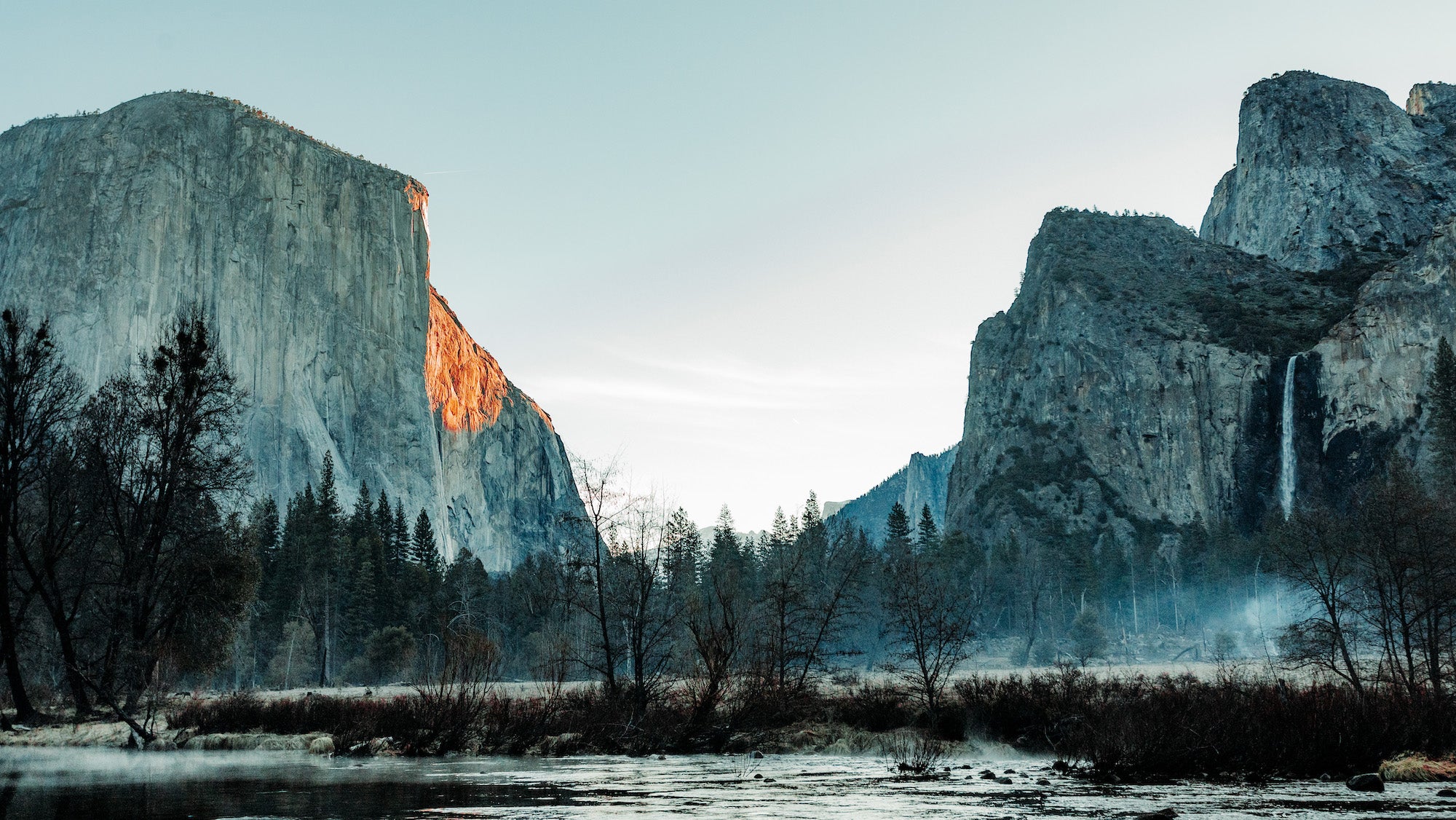 Yosemite Bear Gear Clearance - Yosemite National Park Tours & Activities