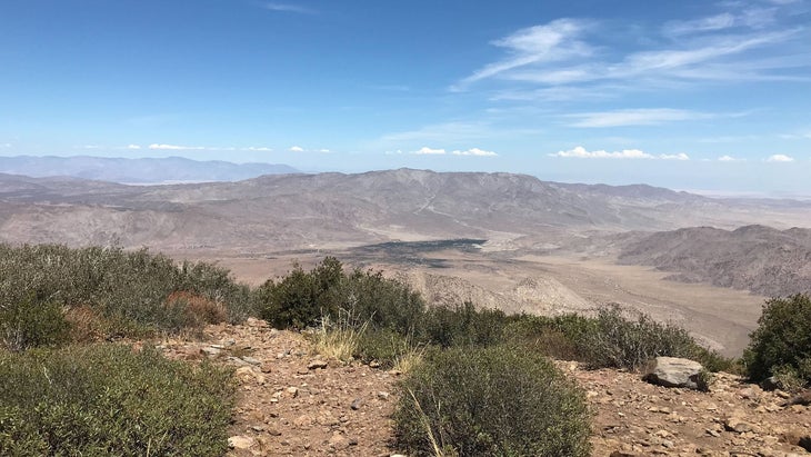 PCT
