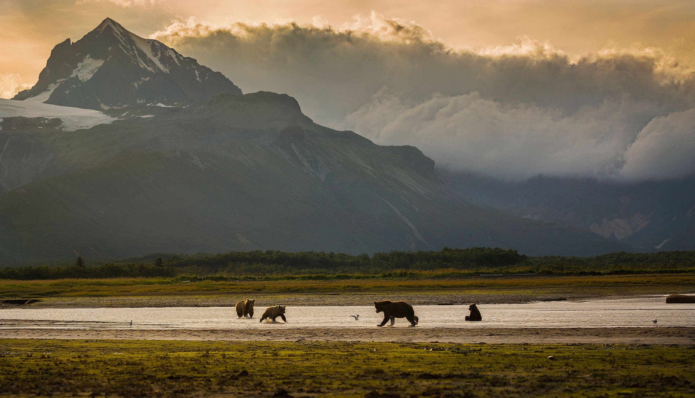 Katmai