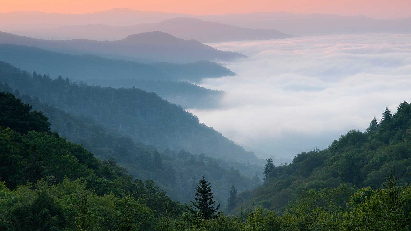 Misty Appalachian mountain sunrise with blue ridges