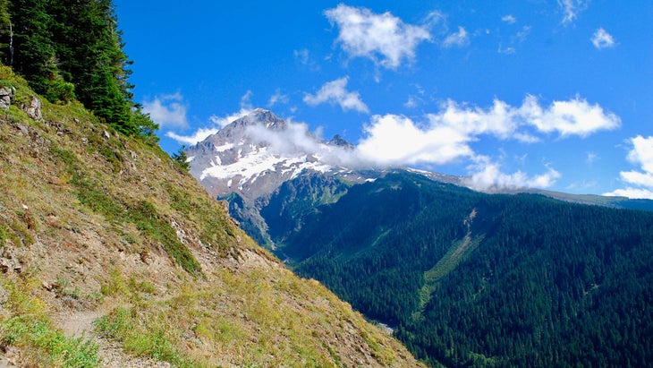 Mt. Hood