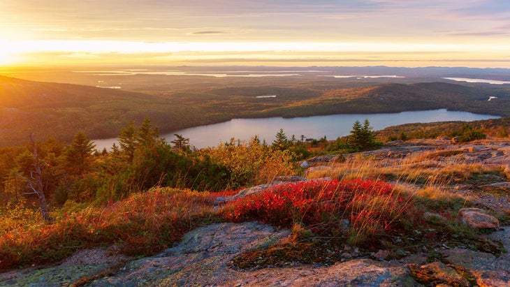 Acadia