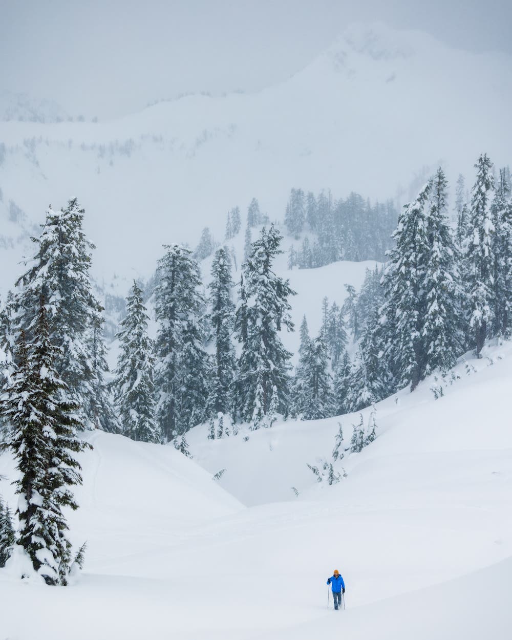 baker trip snowshoeing