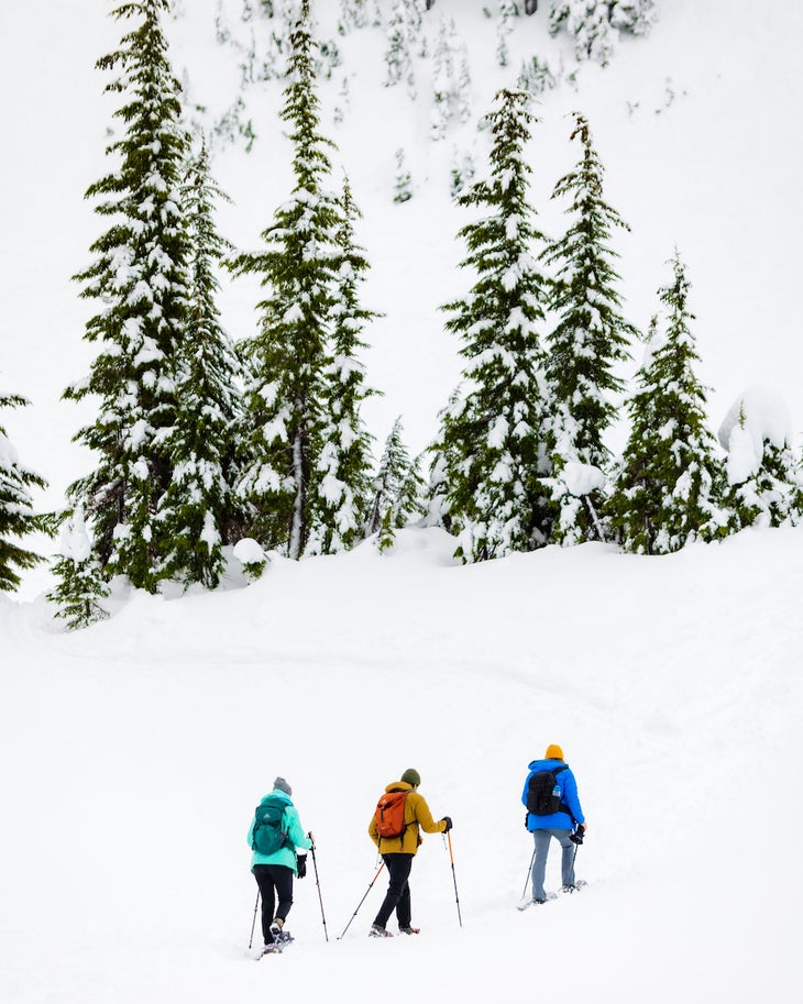 mt. baker snowshoe