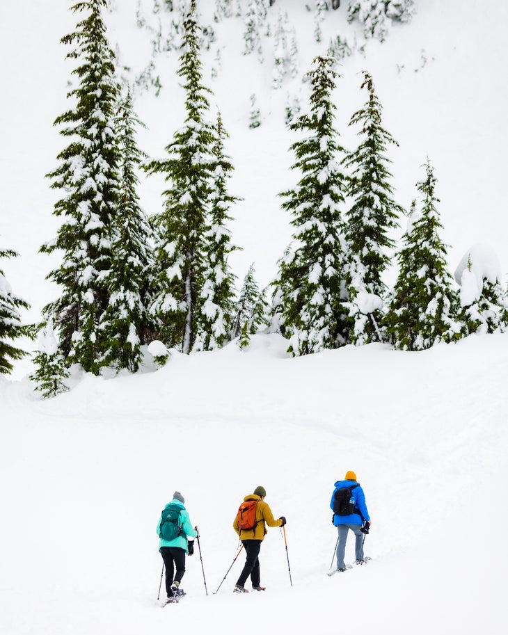 What Is Ski Touring? A Beginner's Guide to Going Backcountry