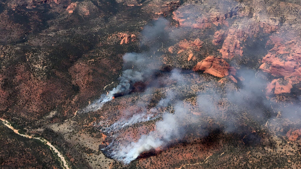 NextImg:Signal Fire Strategies: Dos and Don'ts for Survival