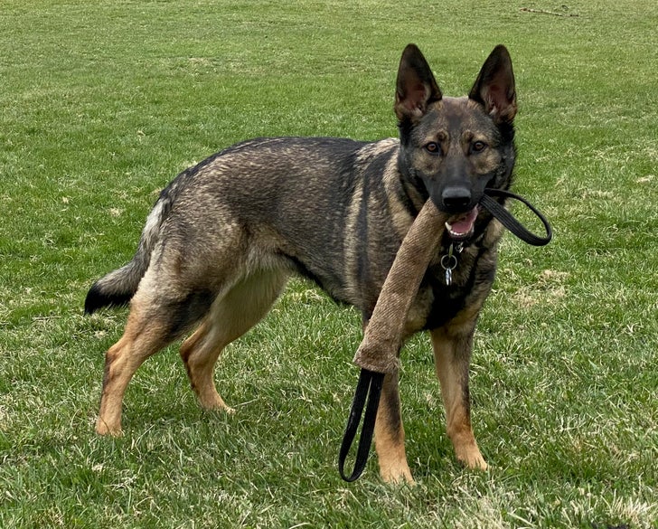 SAR