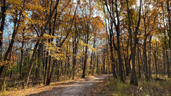 Cook County Forest Preserve