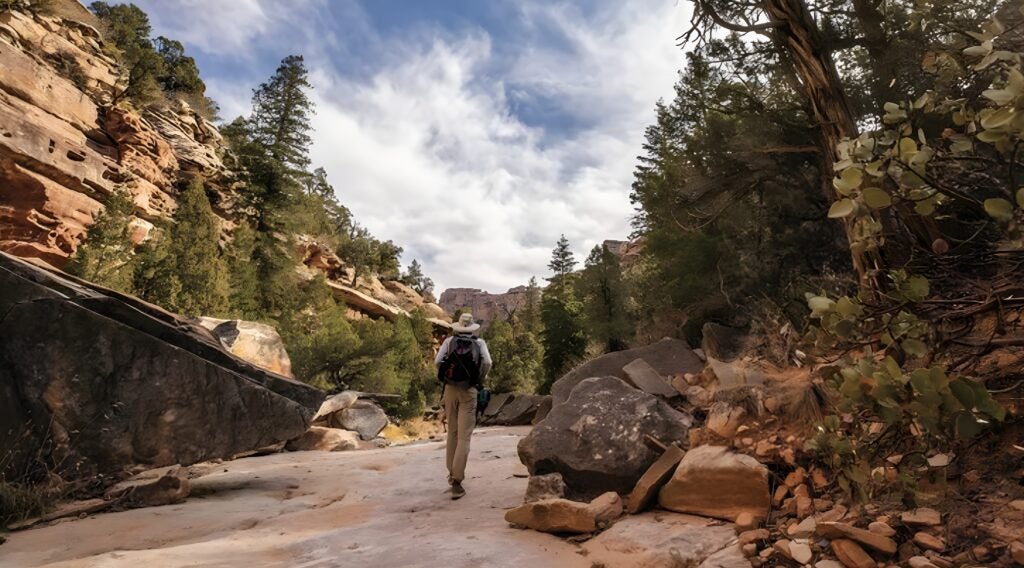 NextImg:4 Reasons Why You Shouldn’t Use a Frameless Pack