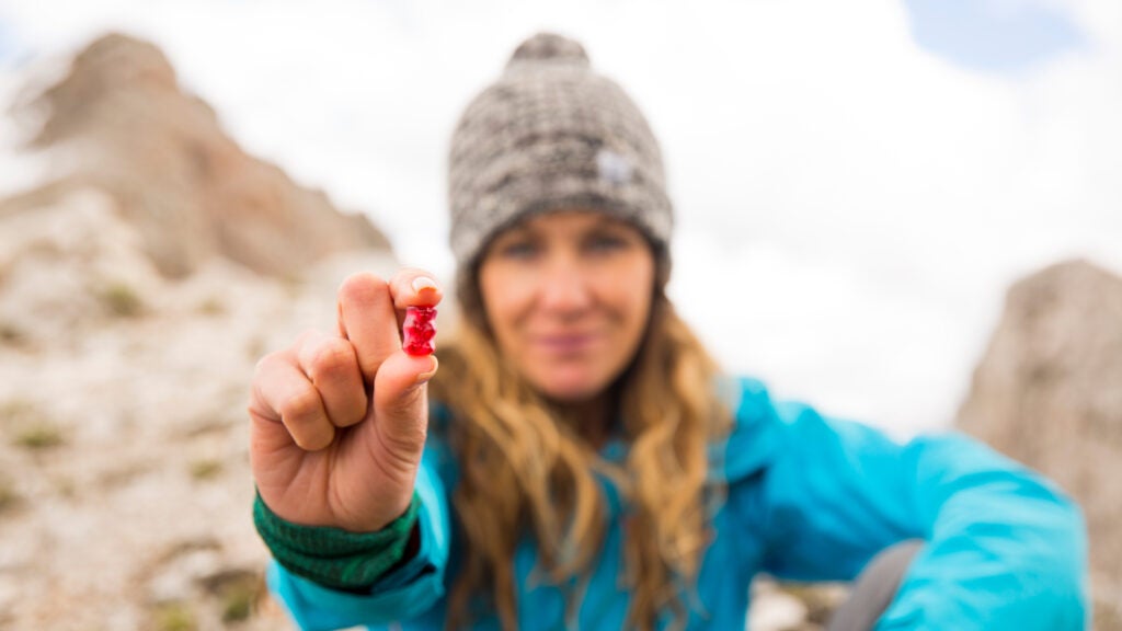 NextImg:The Ultimate Gummy Bear Taste Test
