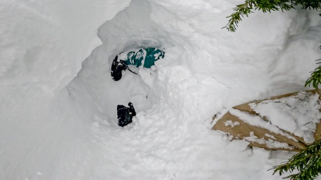 NextImg:Skier Rescues Stranger From a Tree Well