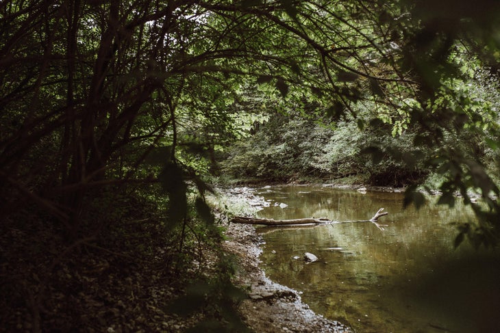 waterfall glen
