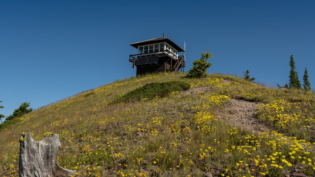 NextImg:Helicopter Crew Finds Missing Teenage Hiker Alive in Glacier National Park