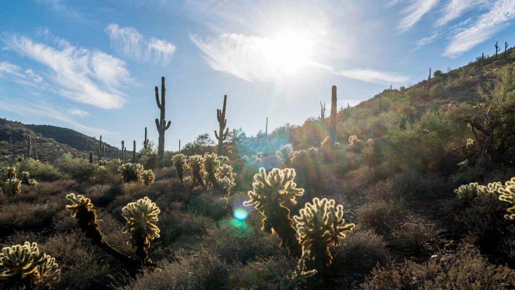 NextImg:Arizona Hit Triple-Digit Temps A Month Earlier Than Normal. Here’s What It Means For Hikers.