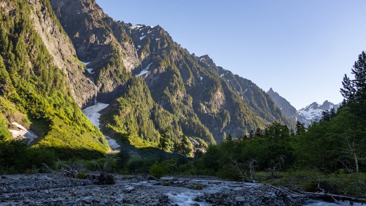 quinault river
