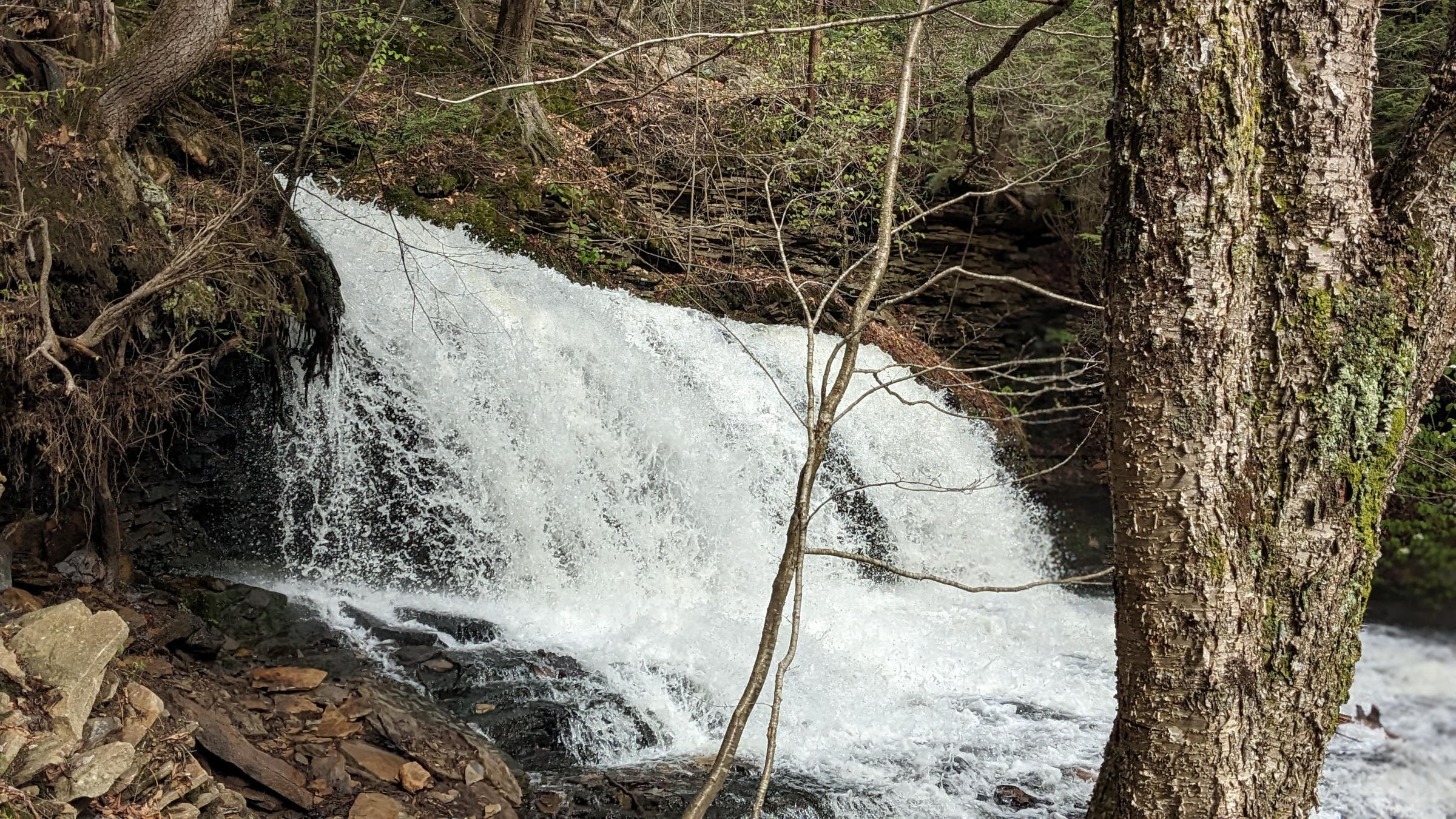 a waterfall in ricketts glen state park