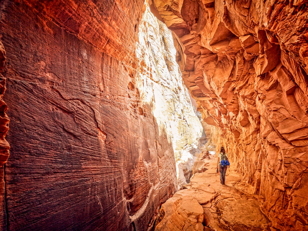 NextImg:Pack Like Your Life Depends On It with Jessie Krebs