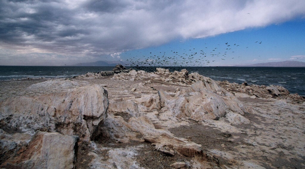NextImg:The Salton Sea Is an Environmental Disaster—and it's Also Gorgeous