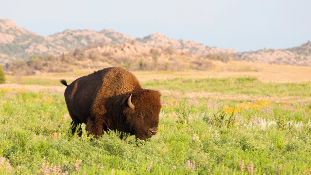 NextImg:No, Seriously—Go Hiking in Oklahoma
