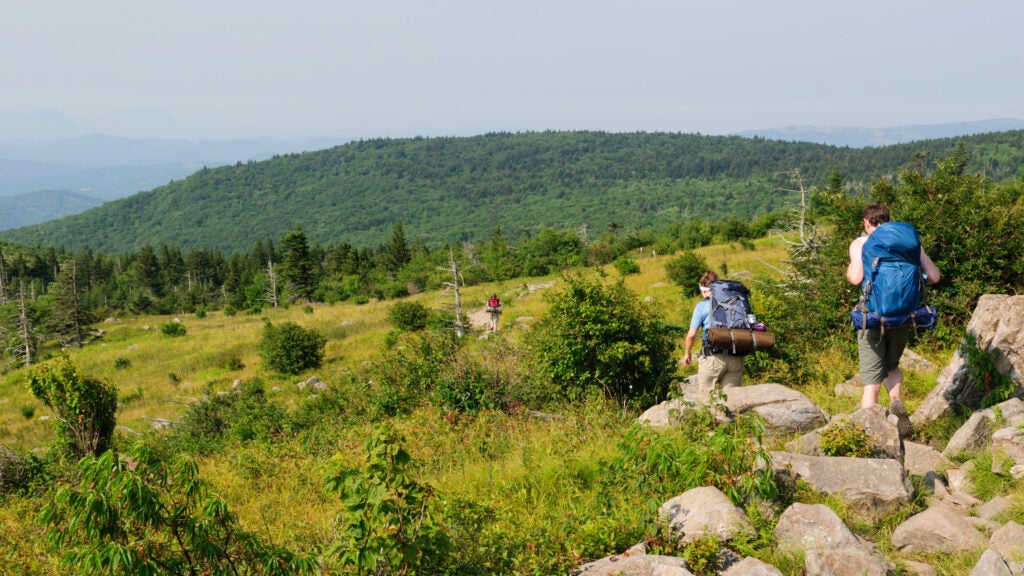 NextImg:This College Lets Students Get Credit for Hiking the Appalachian Trail