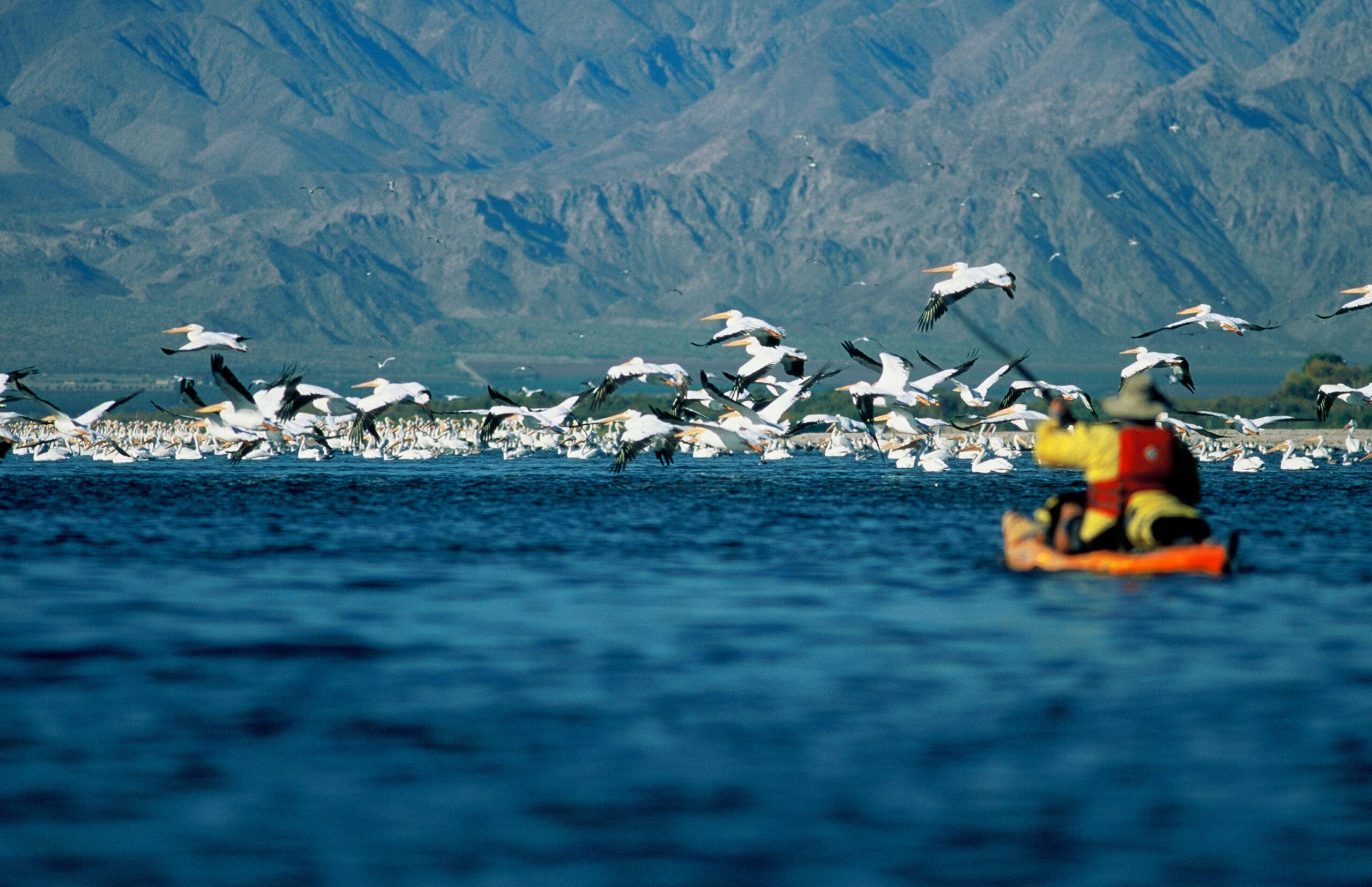 crew on salton sea