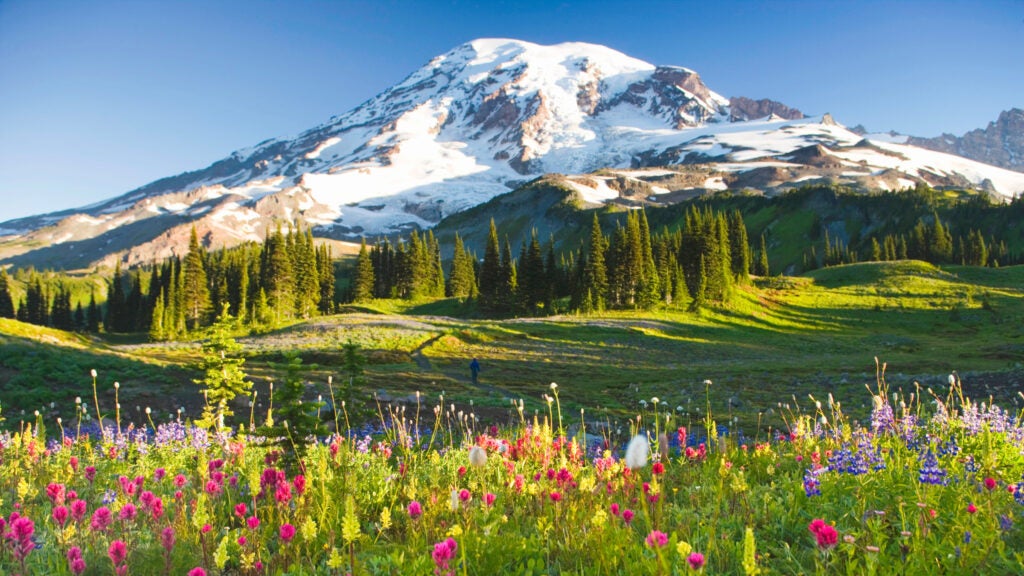 NextImg:Mount Rainier May Start Requiring Reservations, and Now Is Your Last Chance to Weigh In