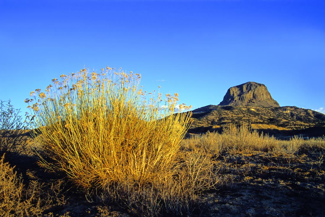 sage and desert peak sunset