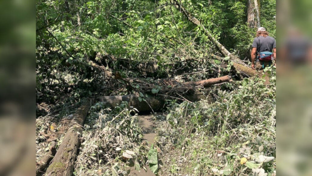 NextImg:Hikers Urged to Stay Off Appalachian and Long Trails Following Vermont Floods