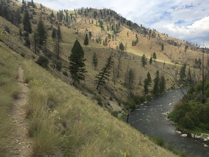 river and fields
