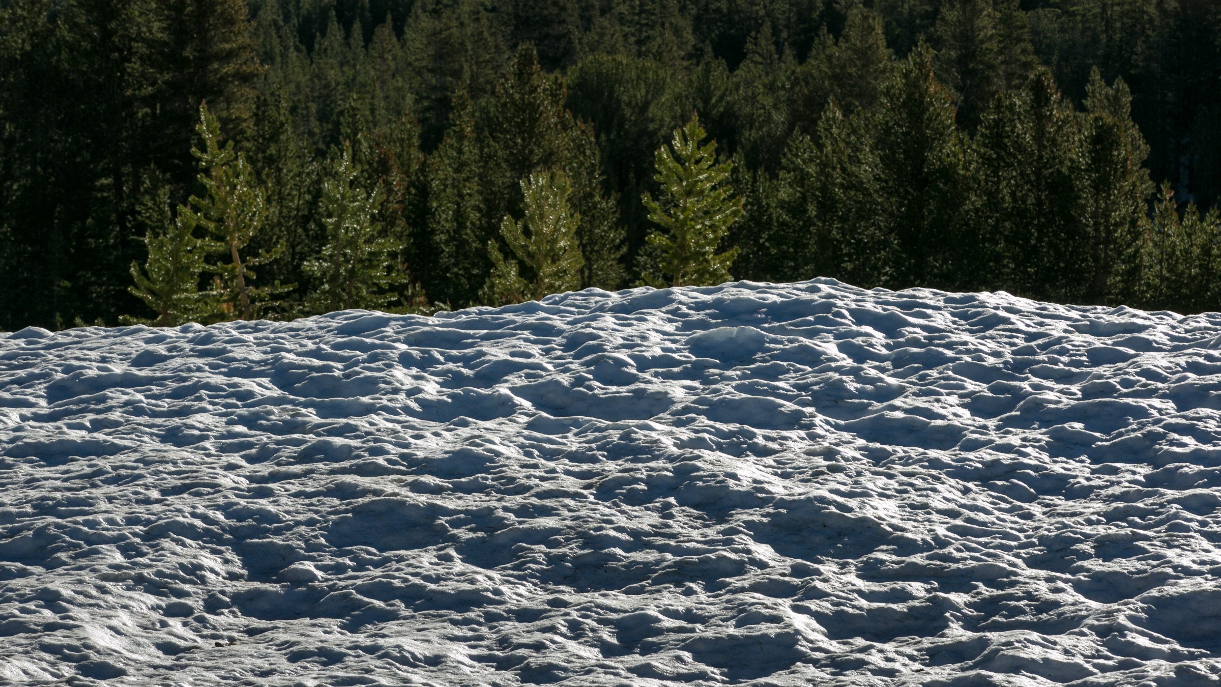 Snow near Lee Vining