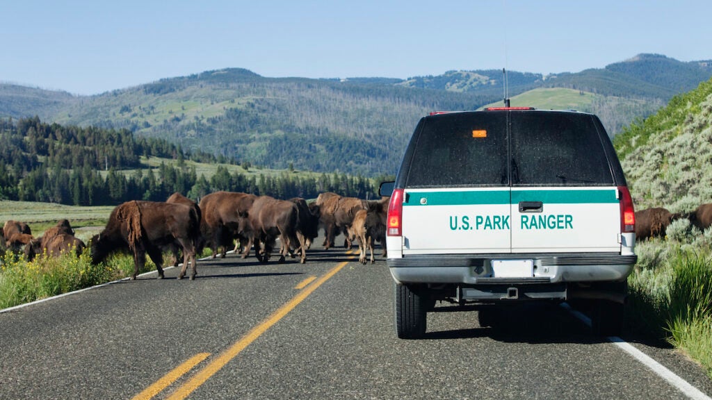 NextImg:Yellowstone National Park Is Struggling to Retain Its Employees