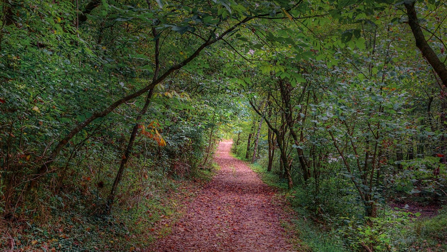 The Midwest Is Full of Good Backpacking. Yes, Really.