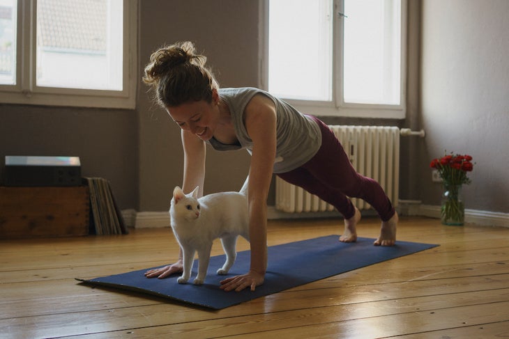 Smiling woman practicing plank position over white cat on exercise mat at home