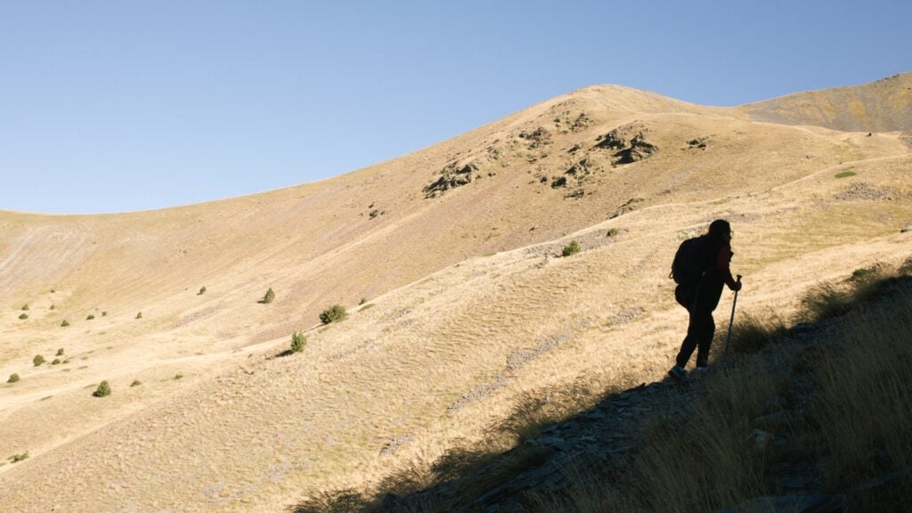 NextImg:Can Trekking Poles Help You Hike Uphill? A New Study Says Yes.