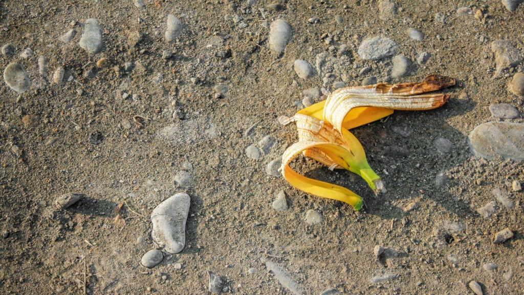 NextImg:I Saw Someone Violating Leave No Trace. Should I Have Spoken Up?