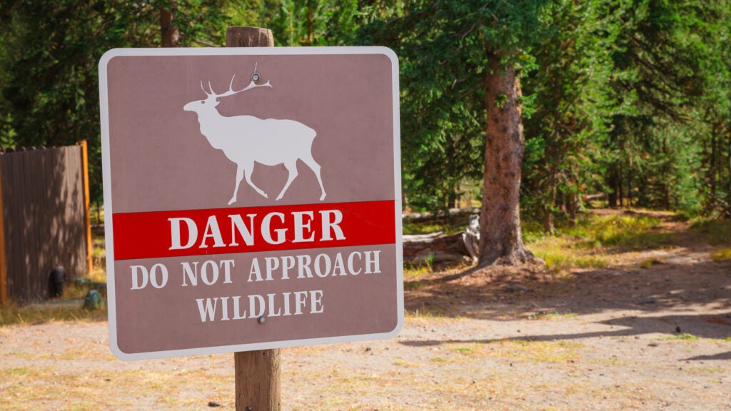 The National Park Service Warns Visitors to Stay Away from Elk