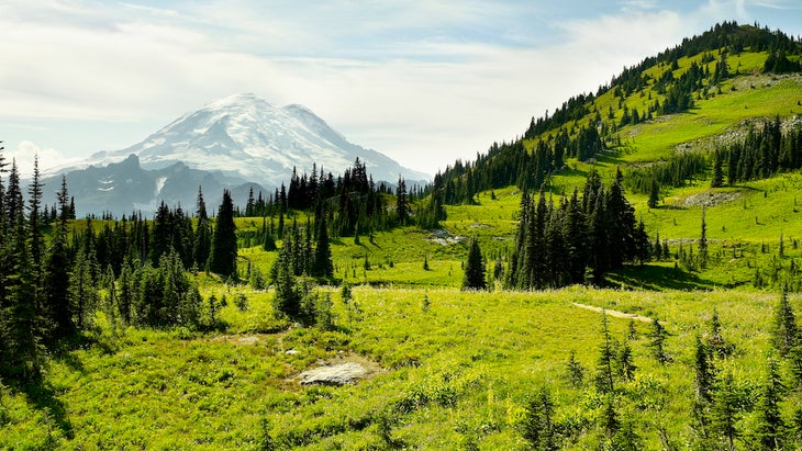 Mt. Rainier with green hill in foreground.