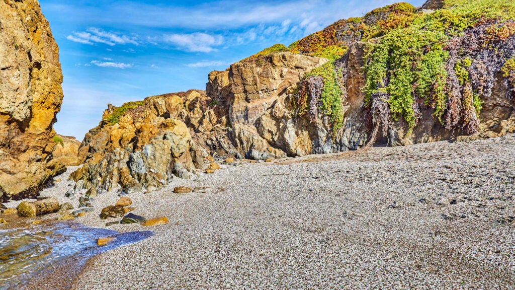 NextImg:No-Show on Your Campsite Reservation? You Could Get Banned Under a New California Law.