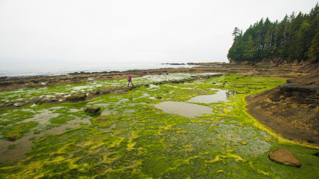 NextImg:After Our Third Miscarriage, I Found Hope and Healing on the West Coast Trail