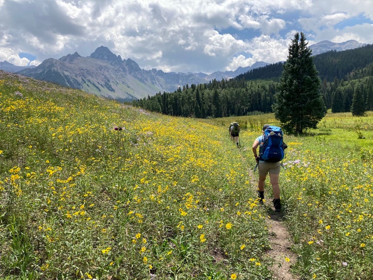 backpackers in single-track trail surrounded by wildflowers with mountains in the distance