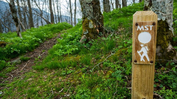 Signed path through forest