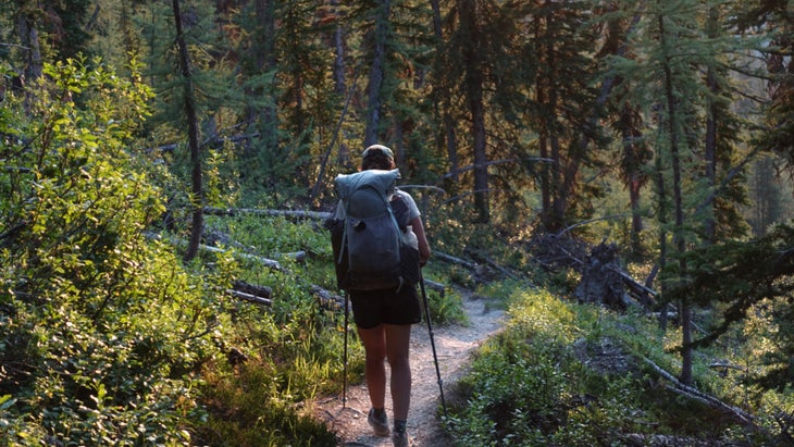 hiker in forest