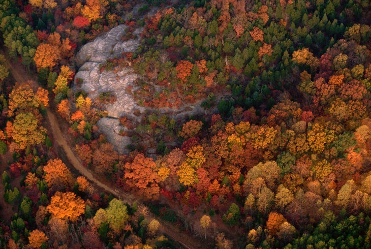 Aerial View of Russet Colors in Shawnee National Forest