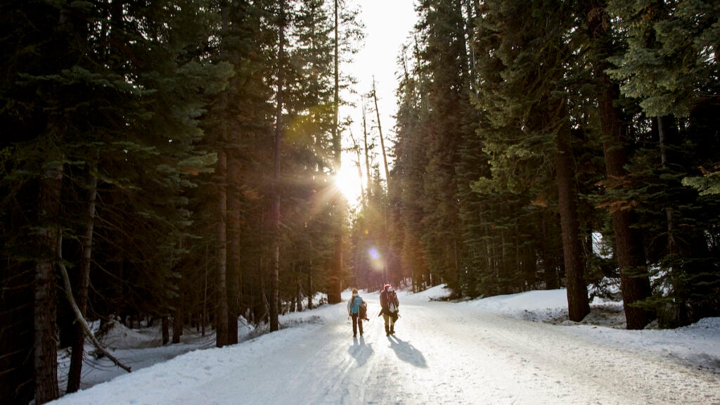 If You've Never Hiked in Snow Before, You Need to Try These 4 Trails