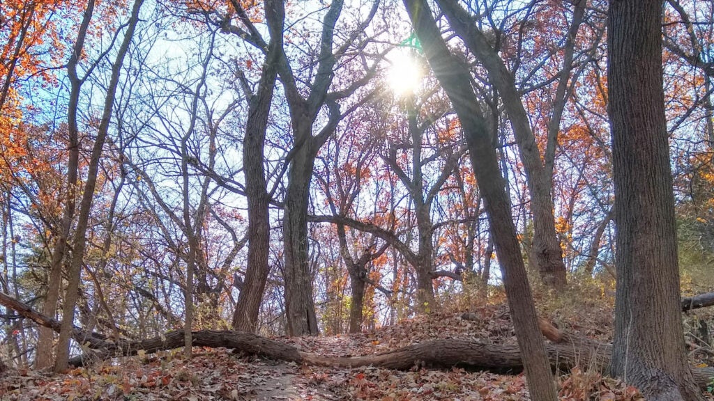 First Day Hikes 2024 Where to Hike on New Year's Day in All 50 States